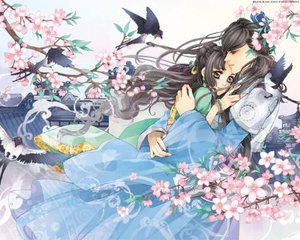 不良人研究所爱是一道光